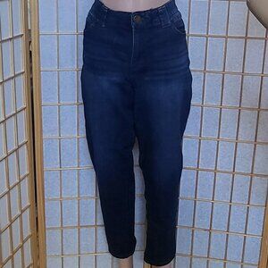 Democracy Ab Technology blue denim jeans EUC 5-pocket style zip fly size 16